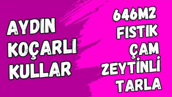 AYDIN KOÇARLI KULLAR 646 M2 FISTIK ÇAM ZEYTİNLİ TARLA SATILIKTIR - AYDIN KOÇARLI fotoğraf 10